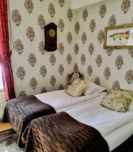 Hotellrummet Artedi, Levar Hotell